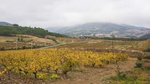 Couvreur Berlou