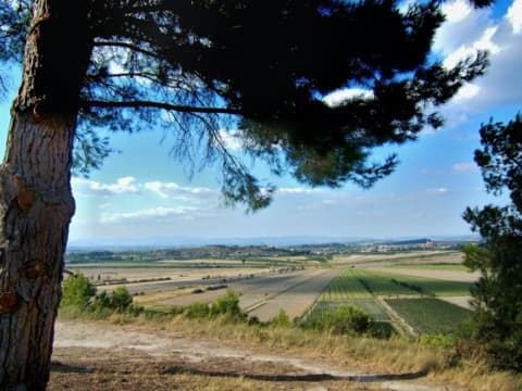 Couvreur Montady