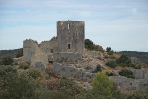 Couvreur Montoulieu