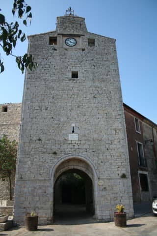 Couvreur Viols-le-Fort